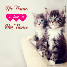 Write Lover Name Cute Cats Profile Image