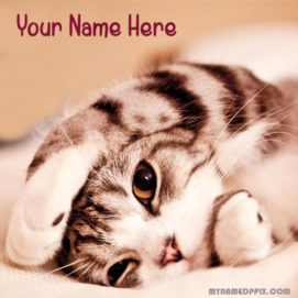 Write Name On Beautiful Cat Cute Profile Image