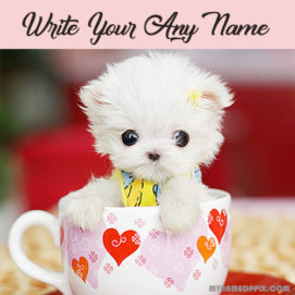Write Name On Cup In Cat Cute Profile