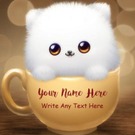 Write Name Cute Cat Beautiful Whatsapp Profile Set Pics