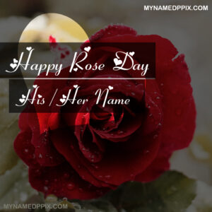 Beautiful Happy Rose Day Wishes Name Image Editor Free