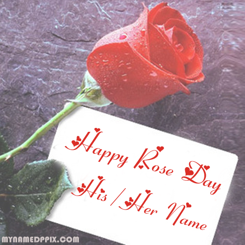 Create Name Happy Rose Day Greeting Card Editing Online Photo
