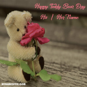 Beautiful Teddy Bear Day Wishes Name Photo Sent Online Create