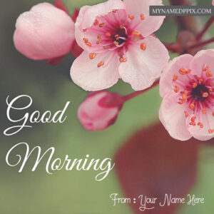 Write Name Good Morning Flowers Greeting Card Images