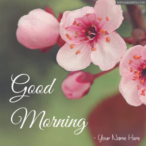 Write Name On Good Morning Wishes Greeting Card Pictures