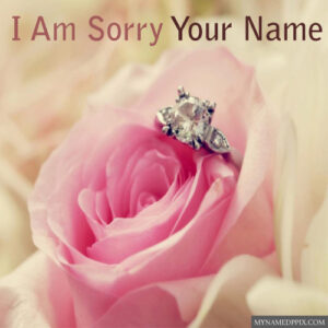 Write Name Sorry Beautiful Rose Greeting Card Images Send