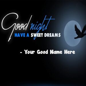 Good Night Wishes Best Name Write Photo Maker Online Editor